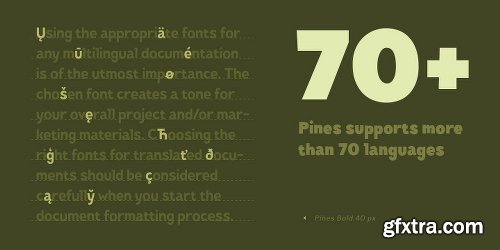 TT Pines Font Family 10 Fonts $200