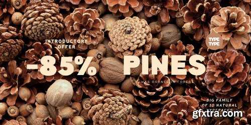 TT Pines Font Family 10 Fonts $200