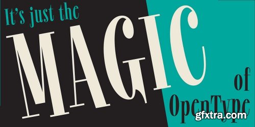 Revla Serif Font Family 1 Font $40