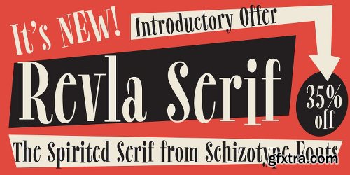 Revla Serif Font Family 1 Font $40