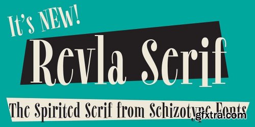 Revla Serif Font Family 1 Font $40