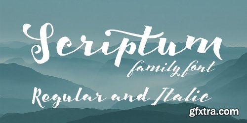 Scriptum Font Family 2 Fonts $68