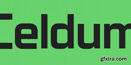 Celdum Font Family 12 Fonts $400