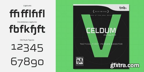 Celdum Font Family 12 Fonts $400