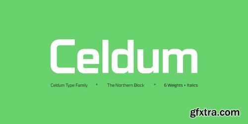 Celdum Font Family 12 Fonts $400