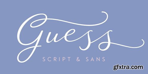 Guess Font Family 14 Fonts $485