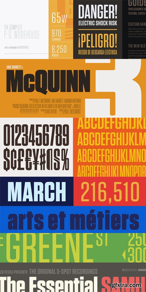 Tungsten Font Family $496