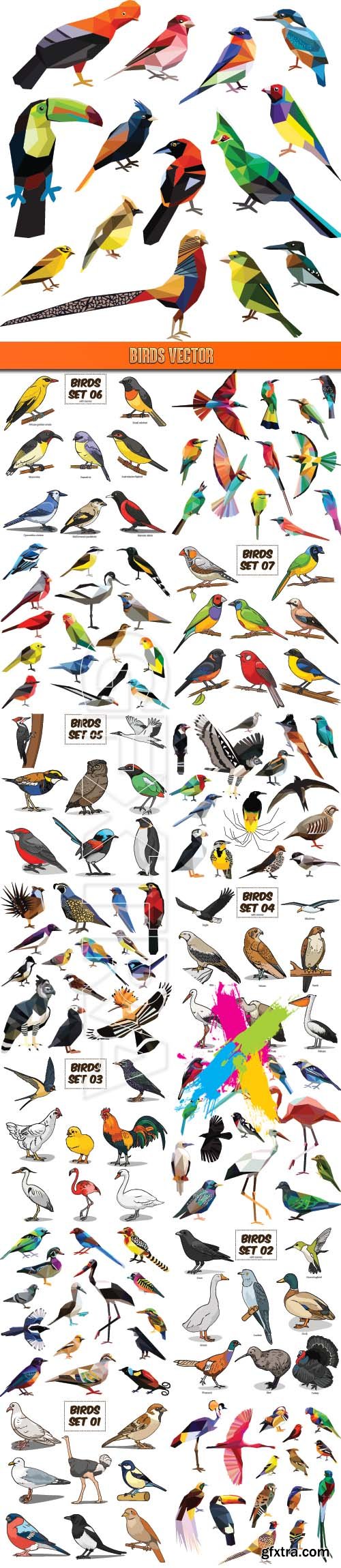 Birds vector