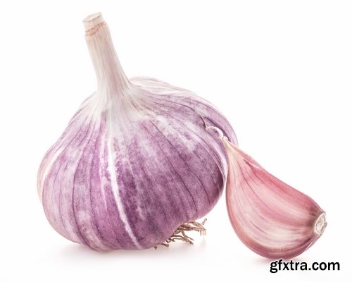 Collection garlic dish with garlic 25 HQ Jpeg