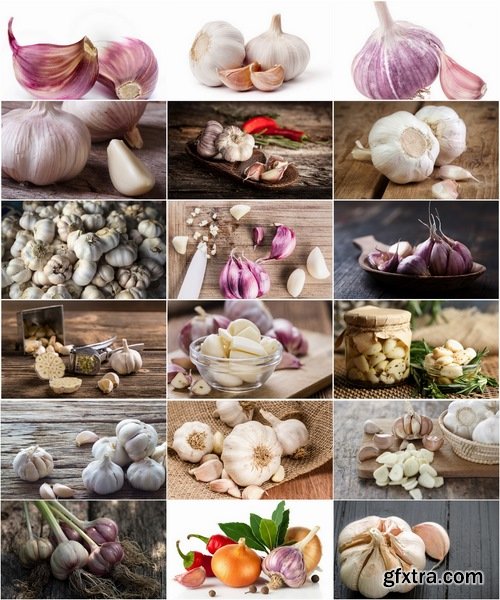 Collection garlic dish with garlic 25 HQ Jpeg