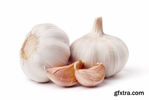 Collection garlic dish with garlic 25 HQ Jpeg