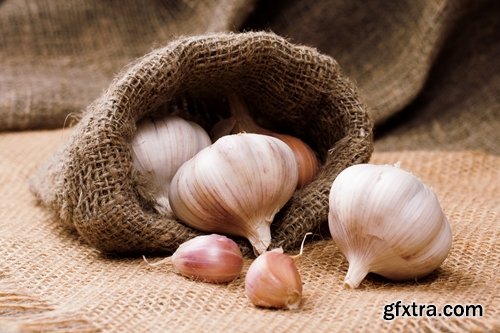 Collection garlic dish with garlic 25 HQ Jpeg