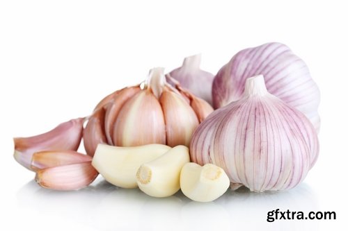 Collection garlic dish with garlic 25 HQ Jpeg