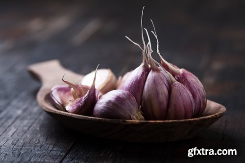 Collection garlic dish with garlic 25 HQ Jpeg