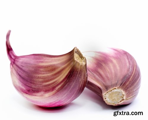 Collection garlic dish with garlic 25 HQ Jpeg