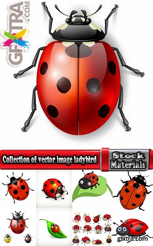 Collection of vector image ladybird beetle insect 25 EPS