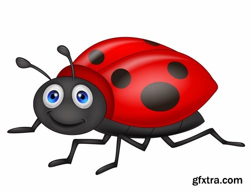 Collection of vector image ladybird beetle insect 25 EPS