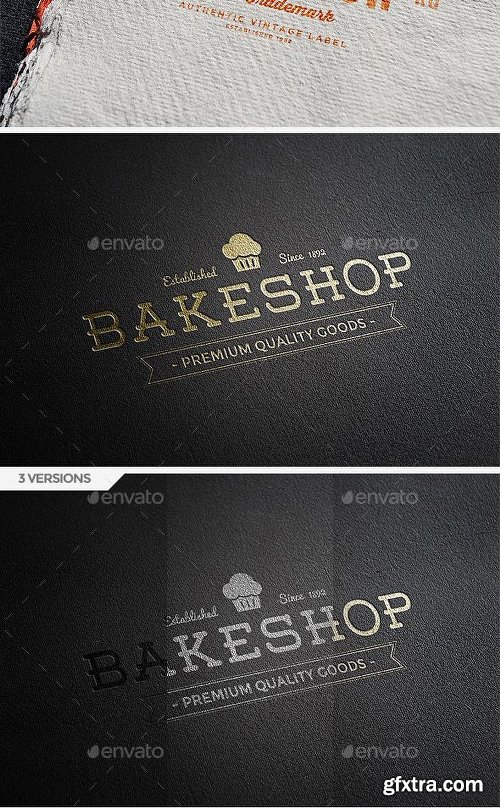 Graphicriver Logo Mock-ups Vol.2 9317593