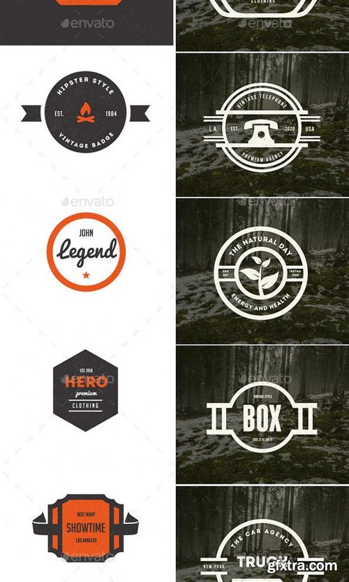 Graphicriver 87 Vintage Labels & Badges Logos Bundle 10022086