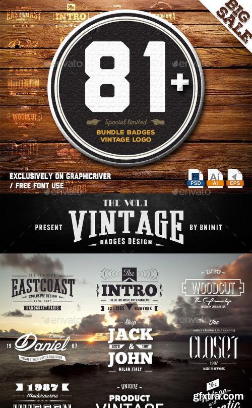 Graphicriver Bundle Badges 81 Vintage logo 9980331