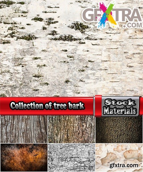 Collection of tree bark texture of the background is 25 HQ Jpeg