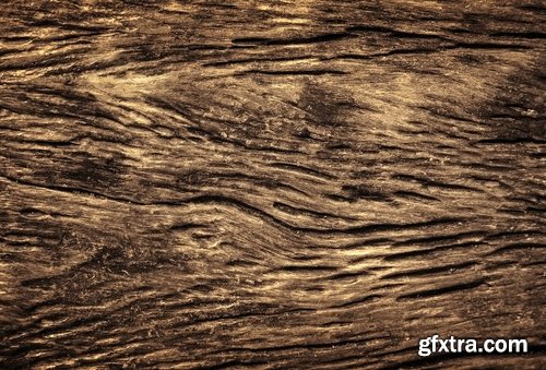 Collection of tree bark texture of the background is 25 HQ Jpeg