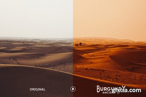 CM - Burgundy Lightroom Preset Pack 519087