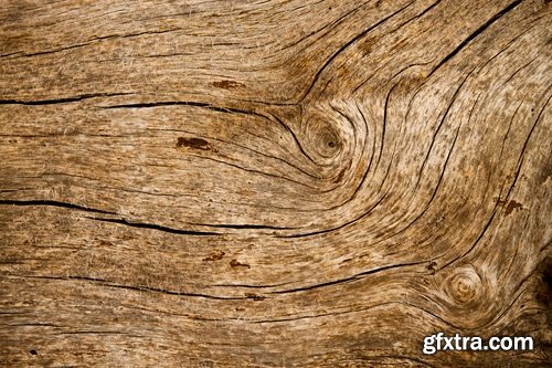 Collection of tree bark texture of the background is 25 HQ Jpeg