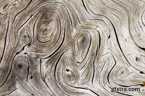 Collection of tree bark texture of the background is 25 HQ Jpeg