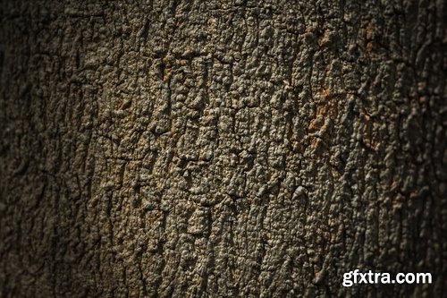 Collection of tree bark texture of the background is 25 HQ Jpeg