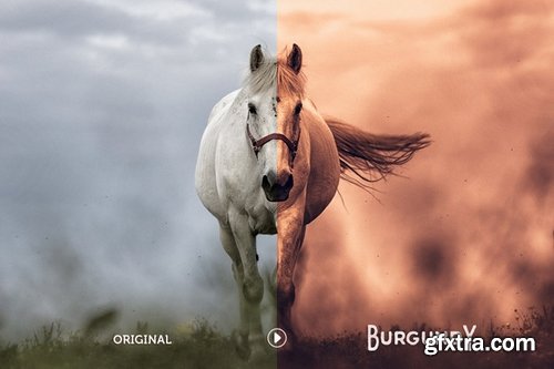 CM - Burgundy Lightroom Preset Pack 519087