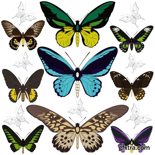 Set of realistic colorful butterflies 10X EPS