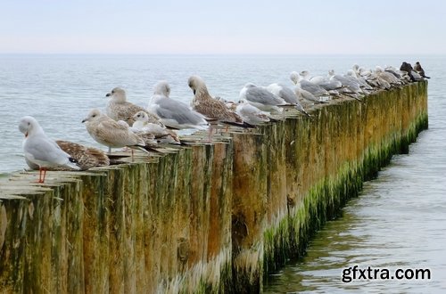 Collection of landscape nature sea ocean breakwater wharf embankment coast 25 HQ Jpeg