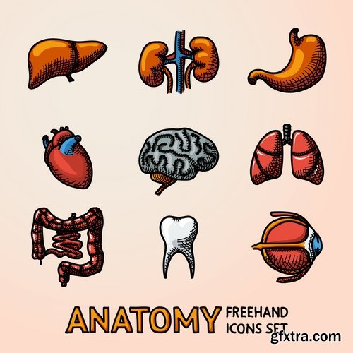 Collection of vector icons flat picture on various subjects #3- 25 EPS