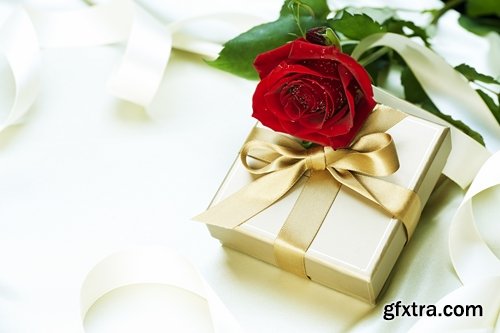 Collection Valentine's Day gift heart festive day rose flower 2-24 HQ Jpeg