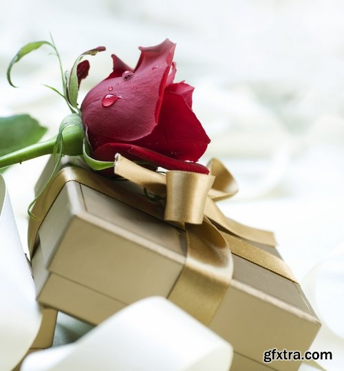 Collection Valentine's Day gift heart festive day rose flower 2-24 HQ Jpeg