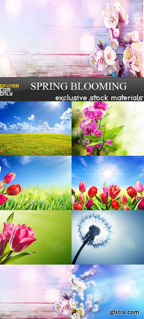 Spring Blooming, 8 x UHQ JPEG