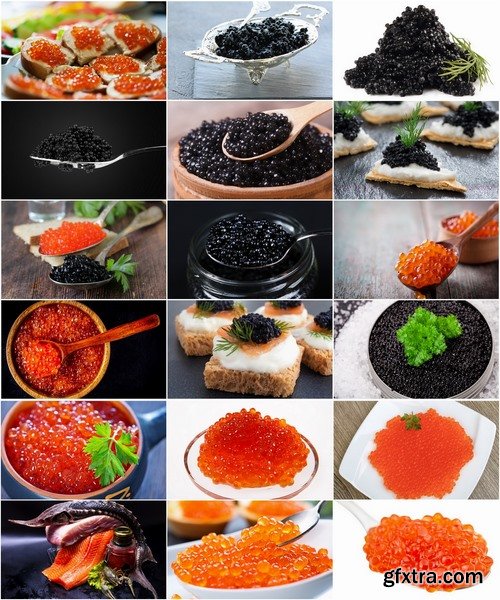 Collection caviar delicacy fish red black 25 HQ Jpeg