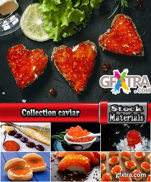 Collection caviar delicacy fish red black 25 HQ Jpeg