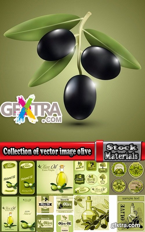 Collection of vector image olive olive tree food meal 25 EPS