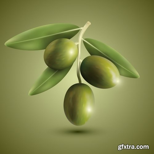 Collection of vector image olive olive tree food meal 25 EPS