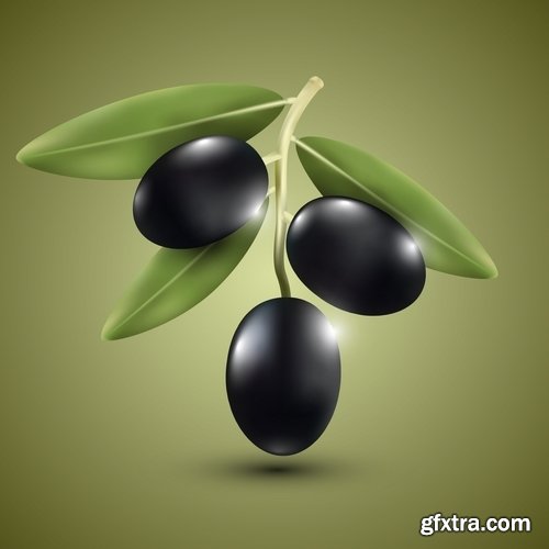 Collection of vector image olive olive tree food meal 25 EPS