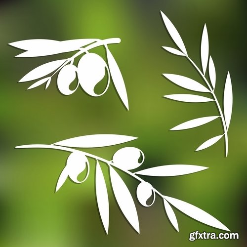 Collection of vector image olive olive tree food meal 25 EPS