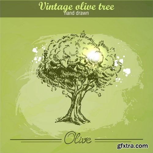 Collection of vector image olive olive tree food meal 25 EPS