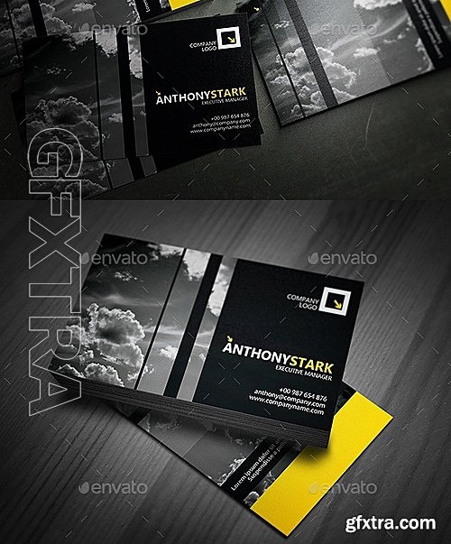 GraphicRiver - PhotoMaster Business Card 11847536