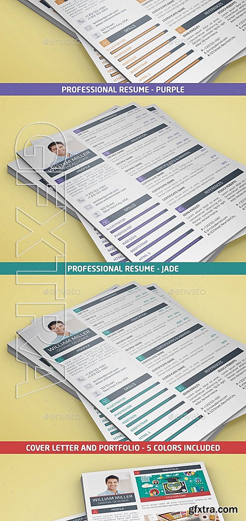 GraphicRiver - Professional Resume 12952982