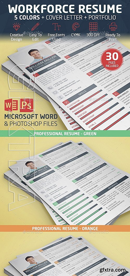 GraphicRiver - Professional Resume 12952982