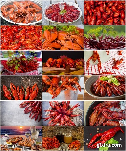 Collection of red lobster cuirass 25 HQ Jpeg