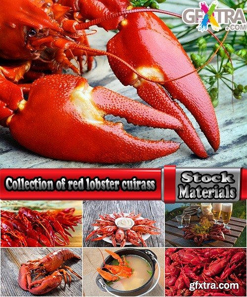 Collection of red lobster cuirass 25 HQ Jpeg