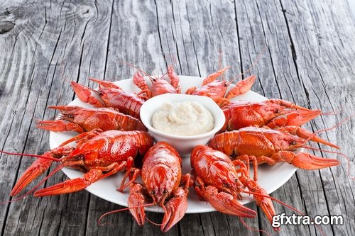 Collection of red lobster cuirass 25 HQ Jpeg